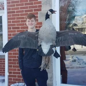 Meet your Posher, Andrew